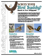 Image of bird puzzle