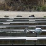 A row of boat docks along a desert shoreline, with a small fishing boat resting between two of them.