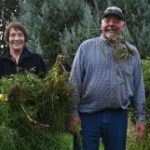 Seven people standing in a row looking at the camera, holding bundles of weeds they have removed. Row of trees in the background.