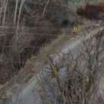 Permalink to Idaho Power Will Move Powerlines Underground Near Boise’s Hulls Gulch Reserve An overhead picture of a dirt road through a forested area, with powerlines crossing the scene horizontally.