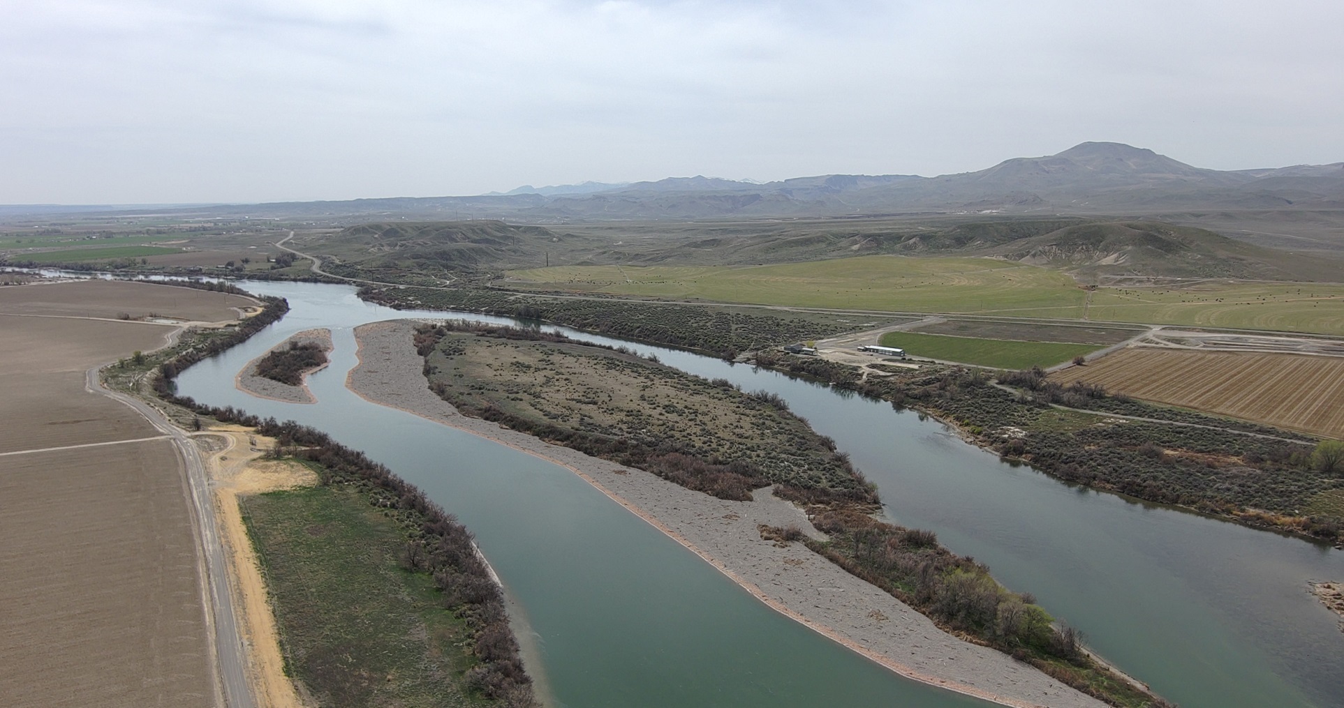Image of Rippee Island in the Snake River